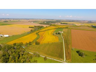 Tracts 2-4 - PRIME LAND AUCTION - 244+/- ACRES OFFERED IN 4 TRACTS IN UNION CO., IN & PREBLE CO., OH
